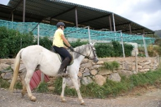 Disfruta de las mejores excursiones a caballo
